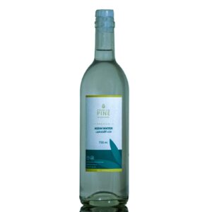 ASS3IN WATER 750ml
