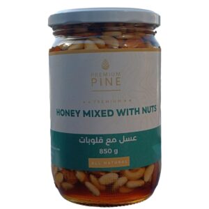 HONEY MIXED WITH NUTS